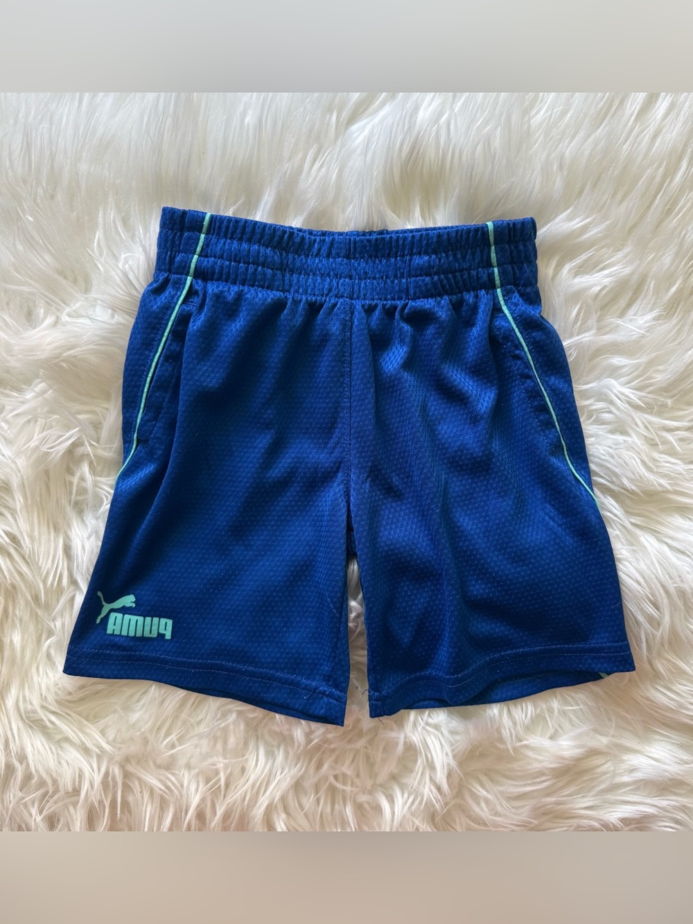 Puma Logo Shorts